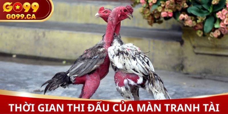 Thời gian thi đấu của màn tranh tài
